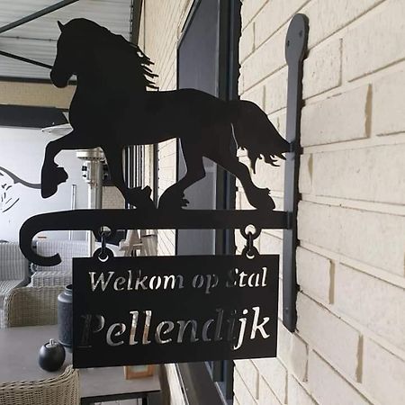 Luxe Gastenkamer Met Living En Keuken Bij Friezen Paarden Stal Pellendijk Westendorp Bagian luar foto