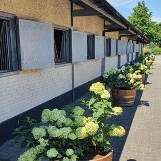 Luxe Gastenkamer Met Living En Keuken Bij Friezen Paarden Stal Pellendijk Westendorp Bagian luar foto