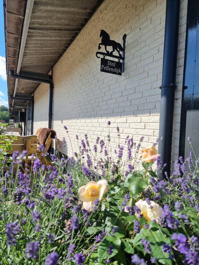 Luxe Gastenkamer Met Living En Keuken Bij Friezen Paarden Stal Pellendijk Westendorp Bagian luar foto